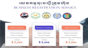 Read more about the article How to Run a Business in Cambodia